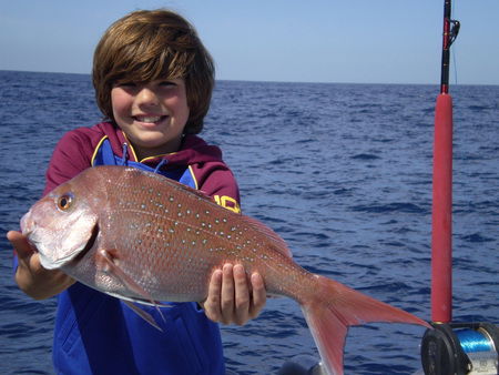 Mills Charters Fishing And Whale Watch Cruises - Accommodation Port Macquarie 4