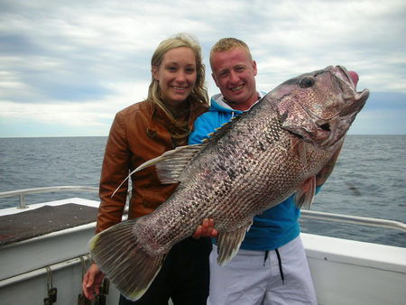 Mills Charters Fishing And Whale Watch Cruises - Accommodation Port Macquarie 5