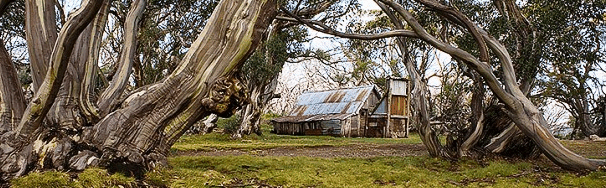 High Country Scenic Tours - Accommodation Port Macquarie
