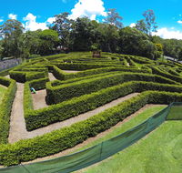 Bellingham Maze - Accommodation Port Macquarie