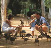 Billabong Sanctuary - Accommodation Port Macquarie