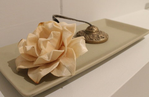 The Boardwalk Spa - Accommodation Port Macquarie 5