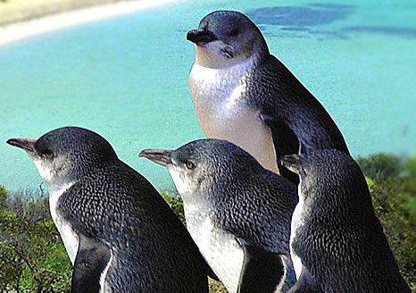  Accommodation Port Macquarie
