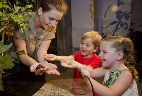 WILD LIFE Sydney Zoo - Accommodation Port Macquarie 1