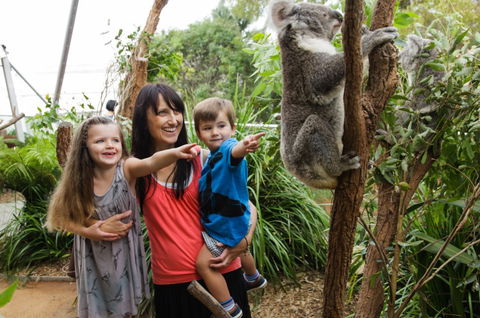 WILD LIFE Sydney Zoo - Accommodation Port Macquarie 3