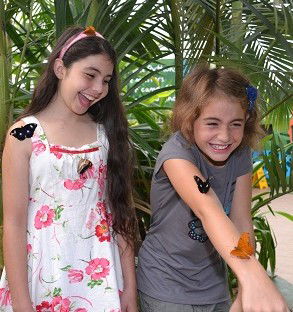 WILD LIFE Sydney Zoo - Accommodation Port Macquarie 4