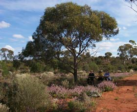Karlkurla Bushland Park - Accommodation Port Macquarie 0