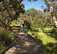 Leschenault Peninsula Conservation Park - Accommodation Port Macquarie
