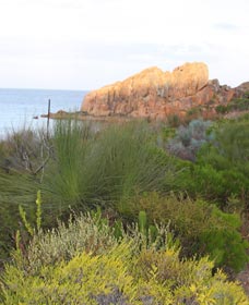 Meelup Trail - Accommodation Port Macquarie 0