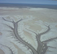 Tidal Flats - Accommodation Port Macquarie