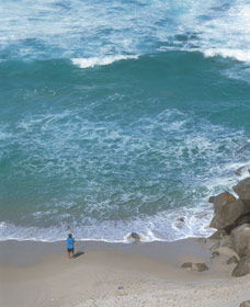 The Salmon Holes - Accommodation Port Macquarie 0