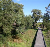 Kepwari Trails Wetland Wonderland - Accommodation Port Macquarie