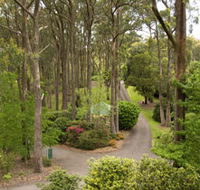 Mount Lofty Botanic Garden - Accommodation Port Macquarie