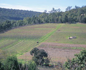 Darling Range - Accommodation Port Macquarie 0