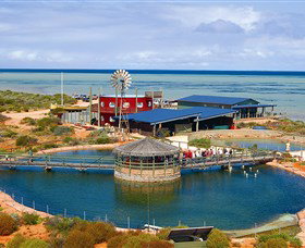 Ocean Park Aquarium - Accommodation Port Macquarie 0