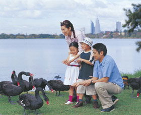 Lake Monger - Accommodation Port Macquarie 0