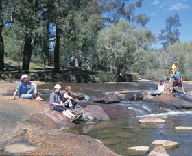 John Forrest National Park - Accommodation Port Macquarie 0