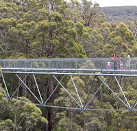 Walpole Wilderness Discovery Centre - Accommodation Port Macquarie