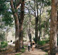 Law Trail and Lotterywest Federation Walkway Kings Park - Accommodation Port Macquarie