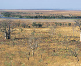 Telegraph Hill - Accommodation Port Macquarie 0