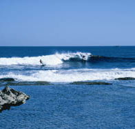 West End - Accommodation Port Macquarie