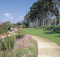 Kings Park Free Guided Walks - Accommodation Port Macquarie