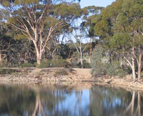 Merredin Railway Dam - Accommodation Port Macquarie 0