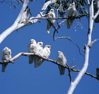 Carawine Gorge - Accommodation Port Macquarie