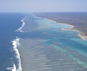 Mandu Sanctuary Zone - Accommodation Port Macquarie 0