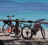 Parker Point Marine Snorkel Trail - Accommodation Port Macquarie