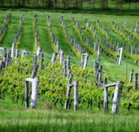 Sienna Estate Winery - Accommodation Port Macquarie