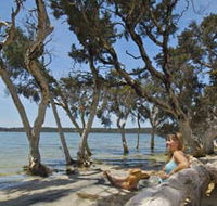 Stokes National Park - Accommodation Port Macquarie
