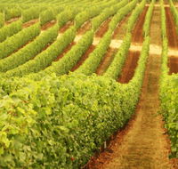 Darlington Estate Winery and Restaurant - Accommodation Port Macquarie
