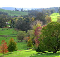 Golden Valley Tree Park - Accommodation Port Macquarie