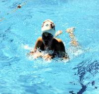 Mount Gambier Aquatic Centre - Accommodation Port Macquarie