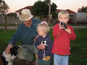 Orrie Cowie Merino And Poll Merino Stud - Accommodation Port Macquarie 0