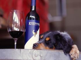 Koonara Wines - Accommodation Port Macquarie 0