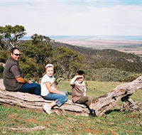 Bridle Track - Accommodation Port Macquarie