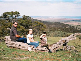 Bridle Track - Accommodation Port Macquarie 0
