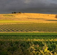Kellermeister Wines - Accommodation Port Macquarie
