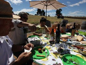 God's Hill Wines - Accommodation Port Macquarie 0