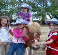 Amberainbow Pony Rides - Accommodation Port Macquarie