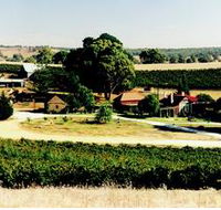 Irvine Wines - Accommodation Port Macquarie