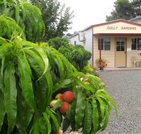 Gully Gardens - Accommodation Port Macquarie