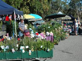 Meadows Monthly Market - Accommodation Port Macquarie 0