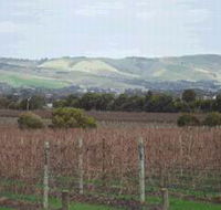 Mclaren Vale Premium Wines - Accommodation Port Macquarie