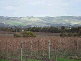 Mclaren Vale Premium Wines - Accommodation Port Macquarie 0