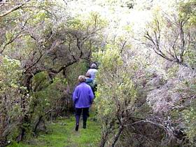 Jack And Hilda McArthur Walk - Accommodation Port Macquarie 0