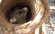 Mulga Sanctuary And Wildlife Park - thumb 0