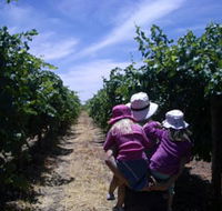 McLaren Vale Orchards - Accommodation Port Macquarie